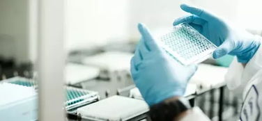 生物技術賦能化妝品植物原料開發 開啟綠色美容新紀元